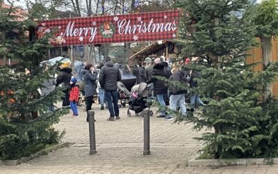 Rückblick auf 2025 und frohe Weihnachten!